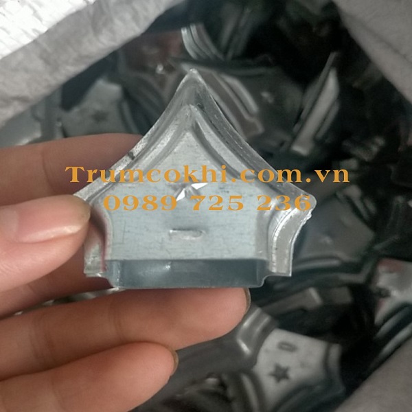 Mũ chụp hàng rào 20x40mm