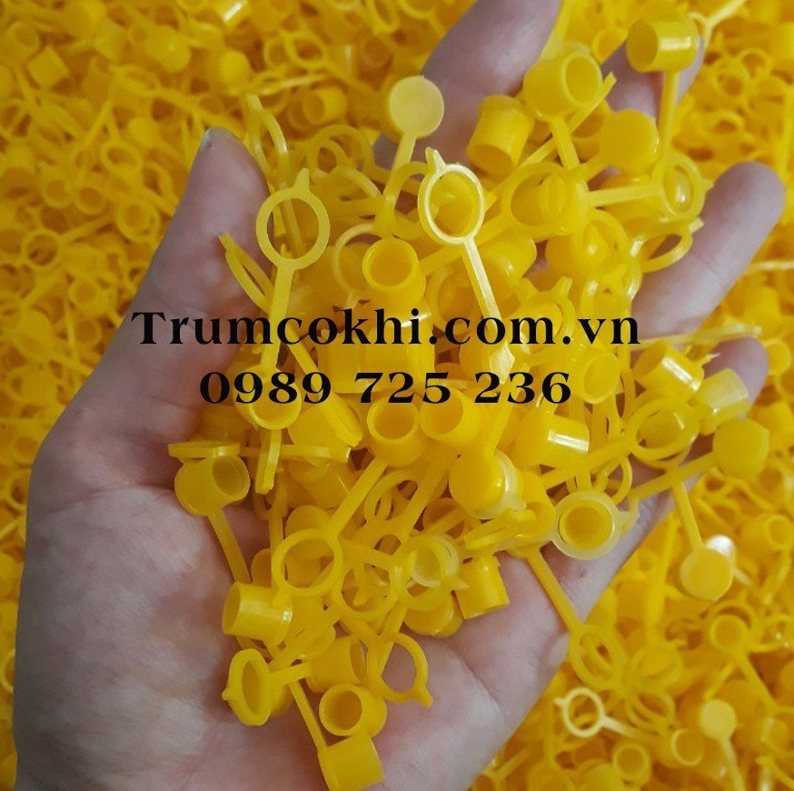 Nắp đậy đầu bơm mỡ M10