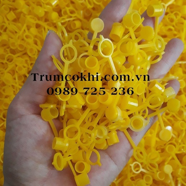 Nắp đậy đầu bơm mỡ M10
