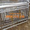 Hàng rào INOX mỹ thuật 304