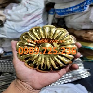 Hoa sắt 60